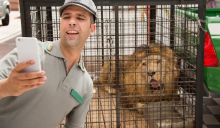 Checco Zalone film da record!